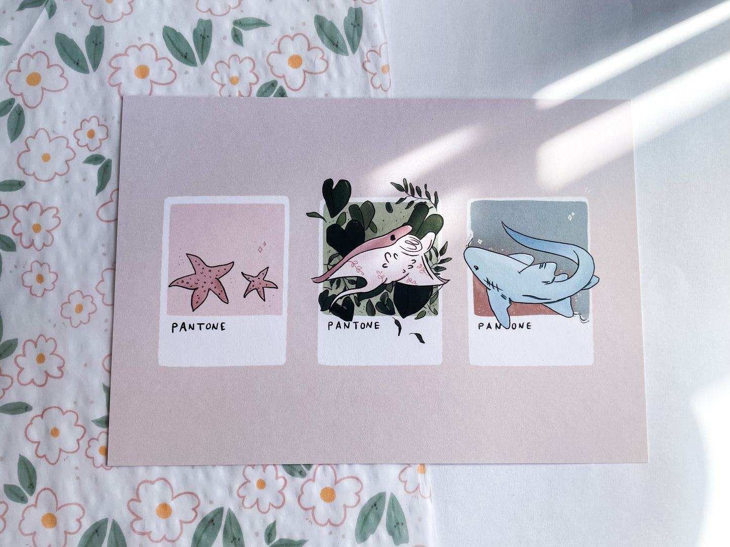 Manta Ray Print