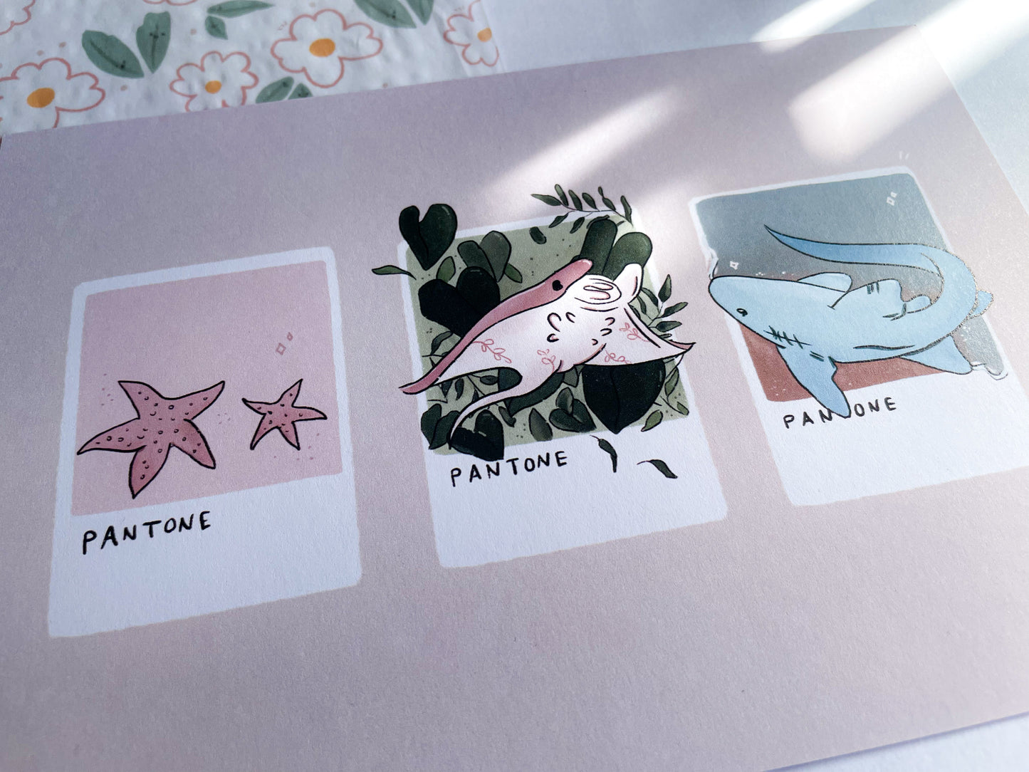 Manta Ray Print