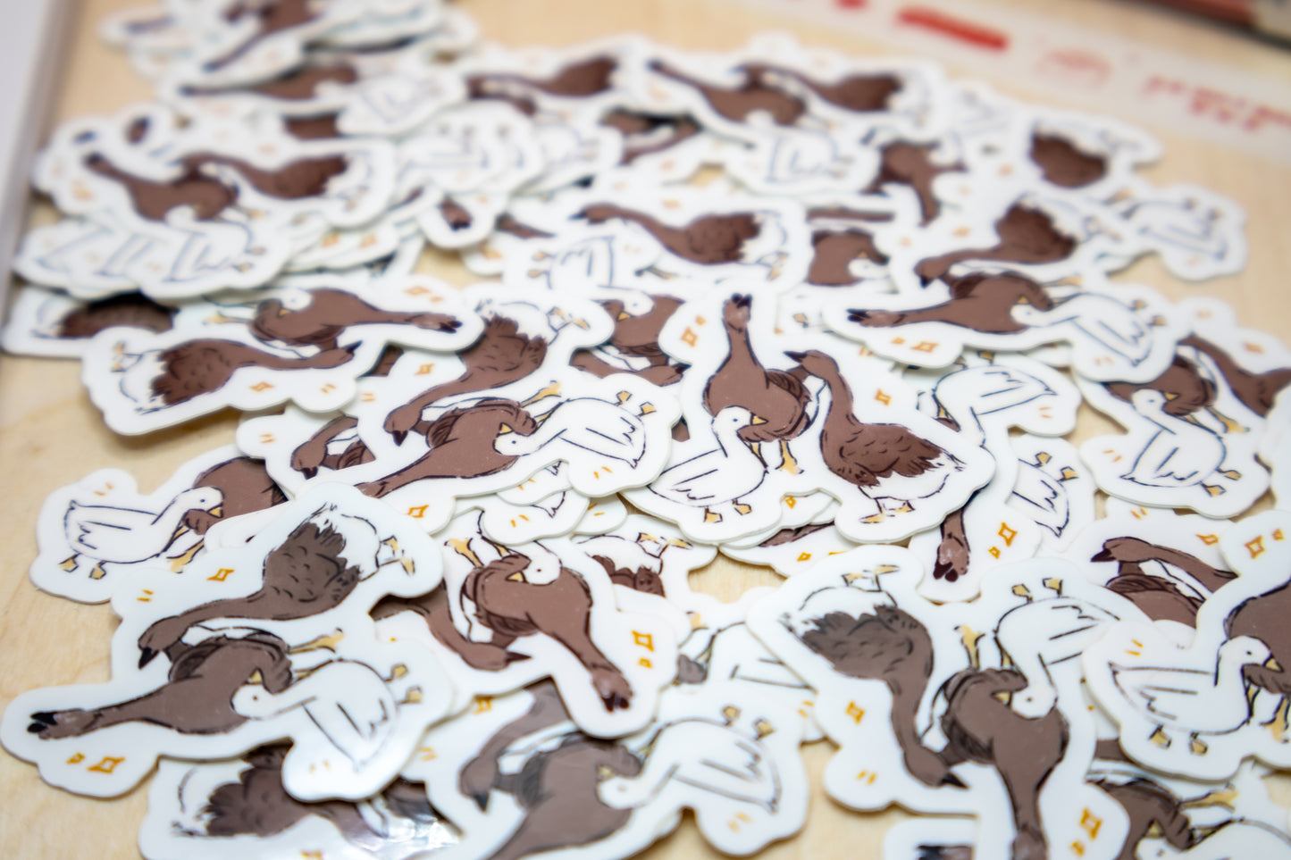 Geese & Duck Sticker